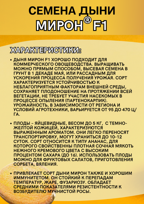 Мирон (Мейрон) F1 семена дыни