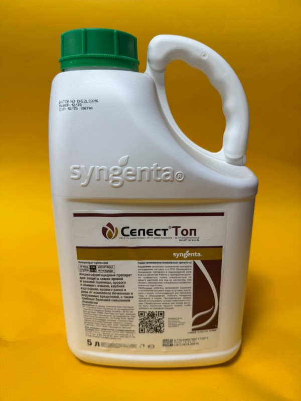 Селест Топ, КС 5 л