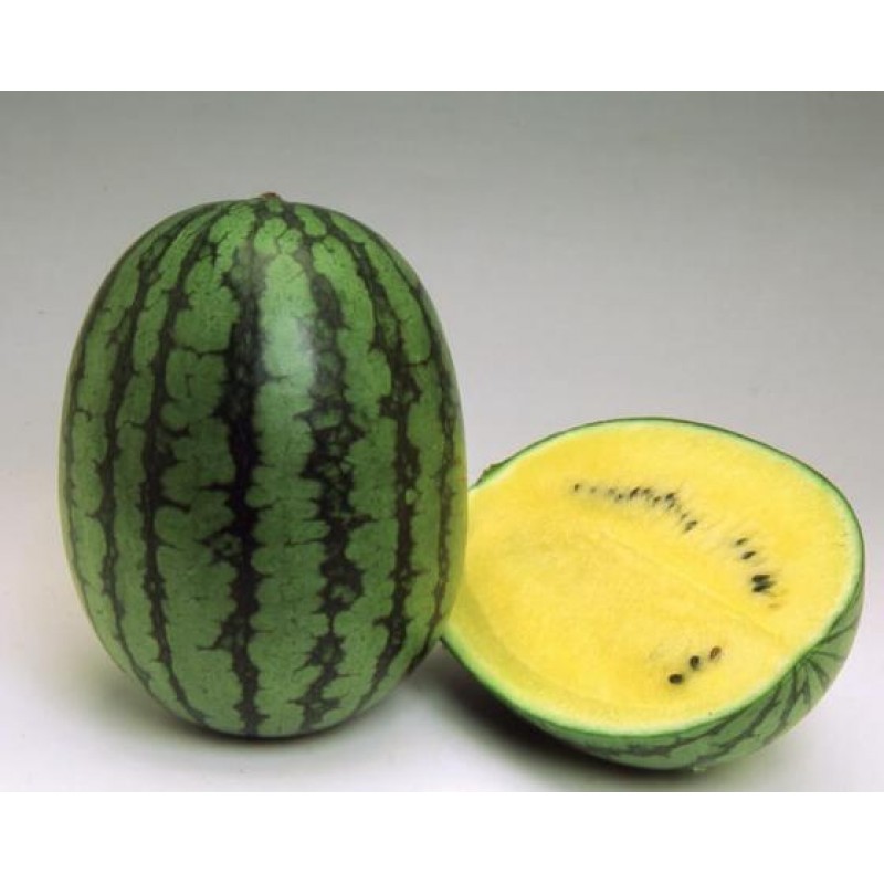 Голден Тайгер F1 семена арбуза