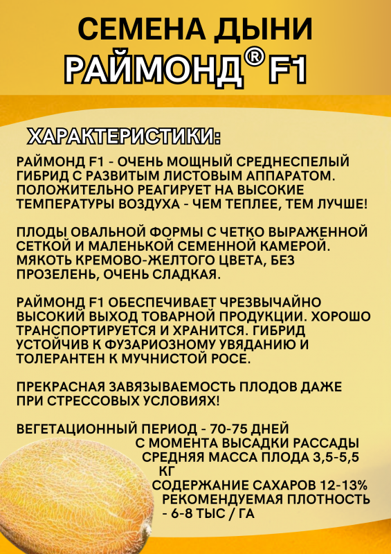 Раймонд F1 семена дыни АКЦИЯ