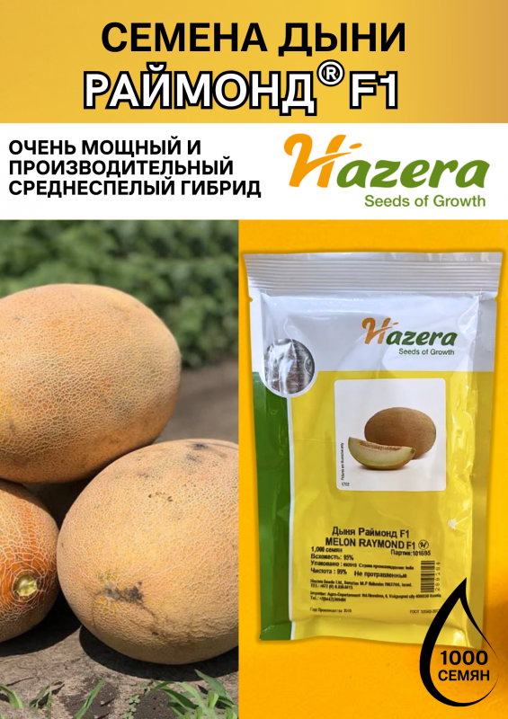 Раймонд F1 семена дыни АКЦИЯ