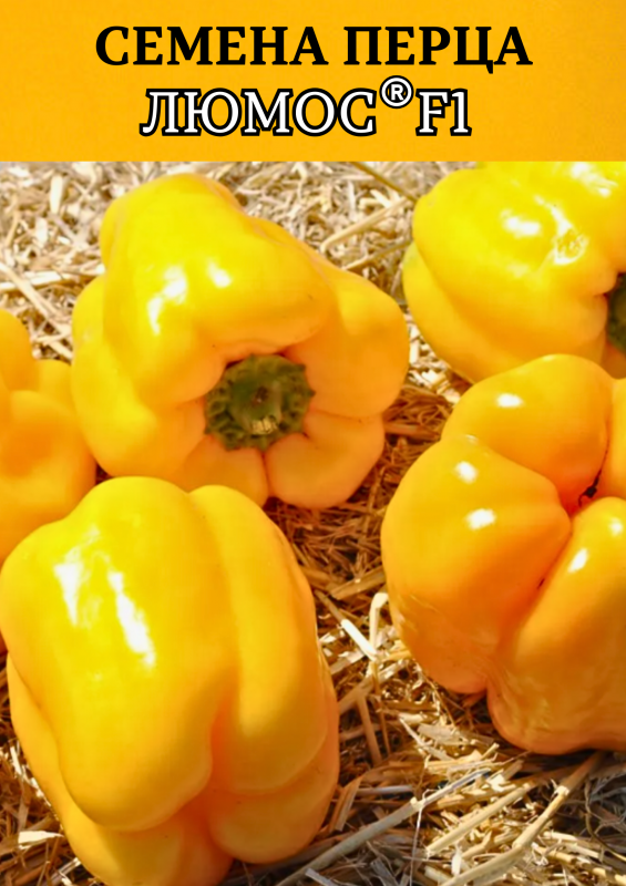 Люмос F1 500 штук семена сладкого перца