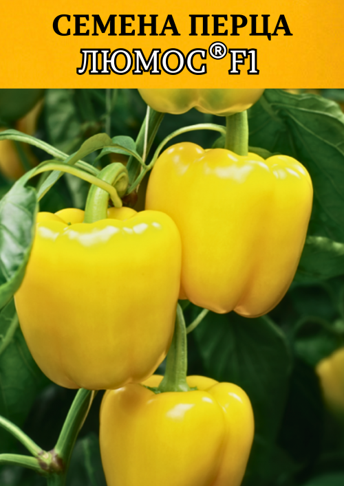Люмос F1 500 штук семена сладкого перца