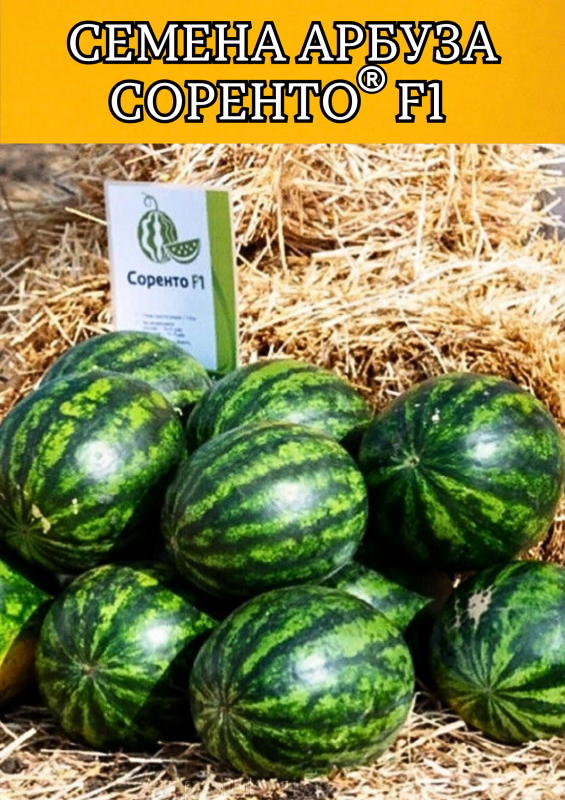 Соренто F1 1000 штук семена арбуза
