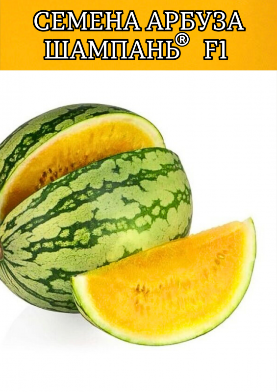 Шампань F1 семена арбуза