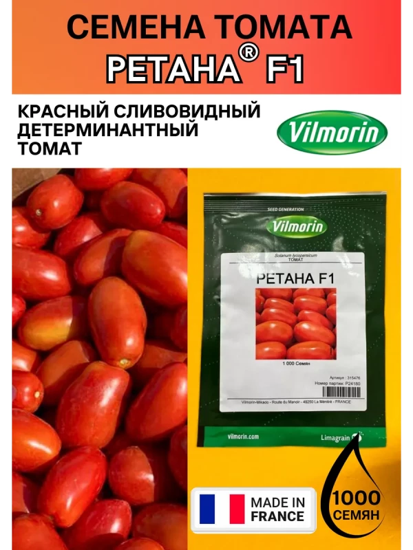 РЕТАНА F1 семена томата сливки