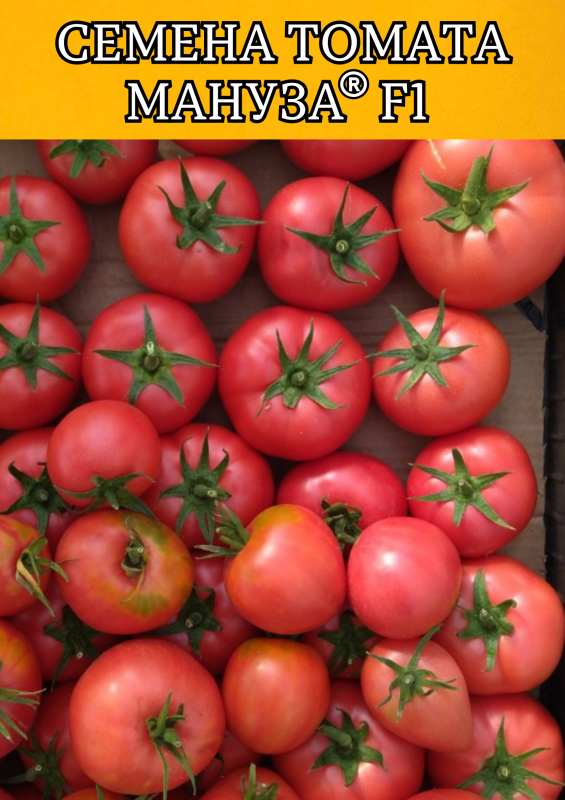 Мануза F1 штук семена томата