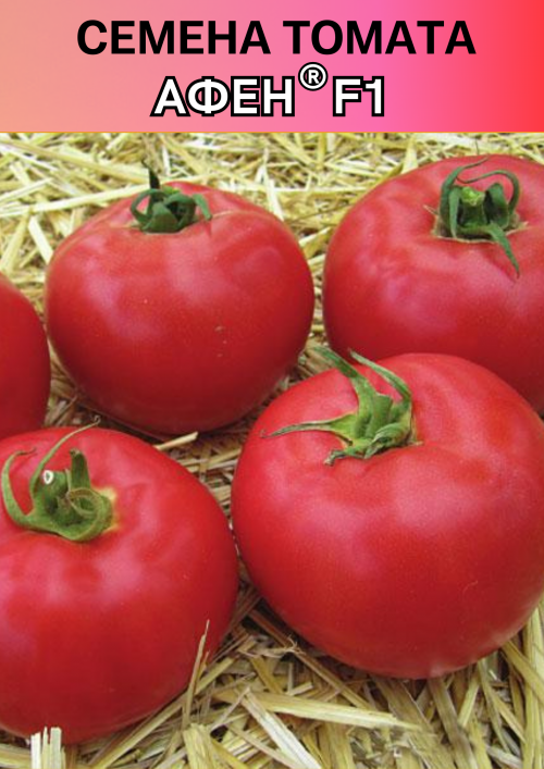 Афен F1 семена томата