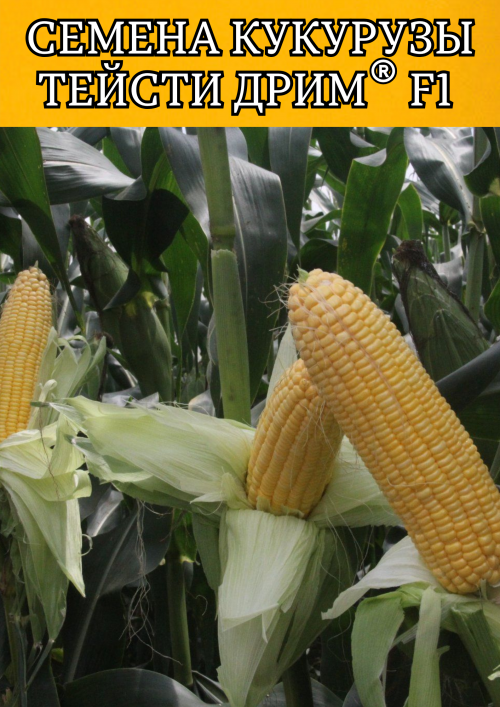 Тейсти дрим F1 5000 штук семена сахарной кукурузы