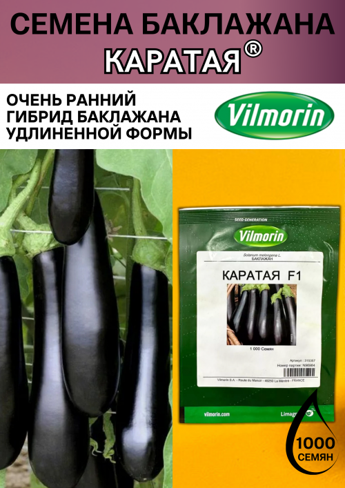 Баклажан