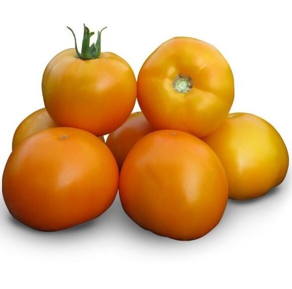 Айсан F1 (KS 18 F1) семена томата