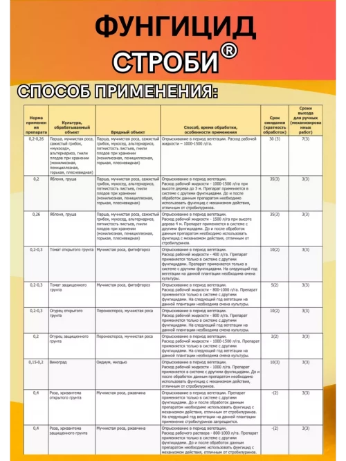 Строби 50 грамм фунгицид