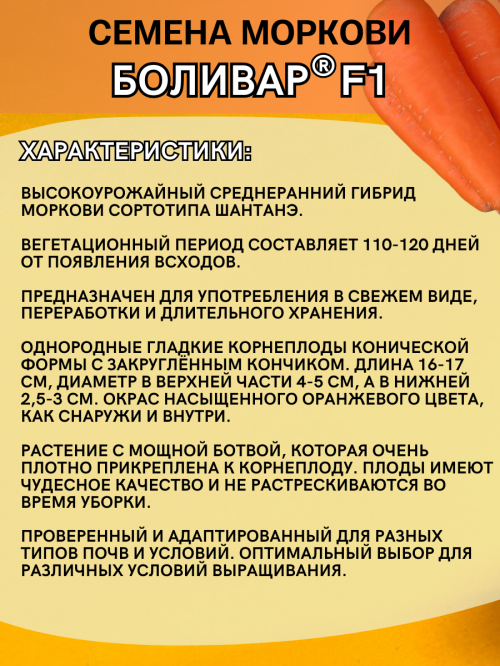 Боливар 1,6-1,8 мм 500 000 штук семена моркови