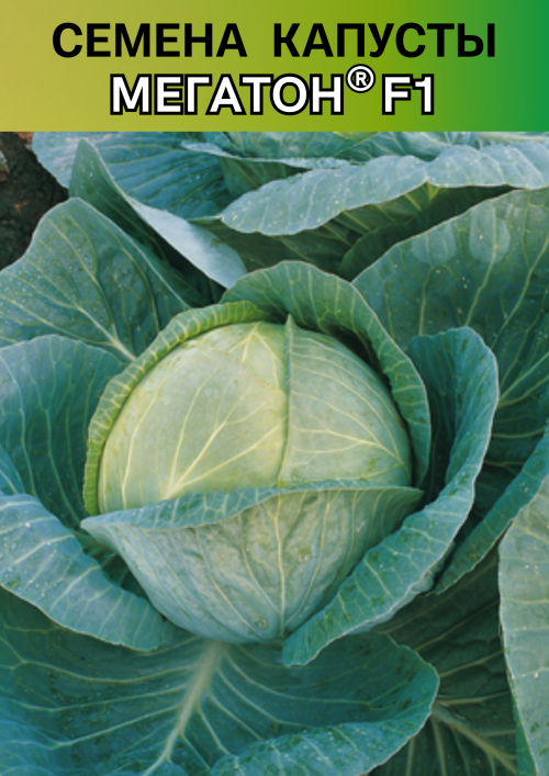Мегатон F1 2500 штук семена капусты