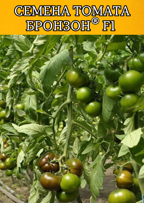 Бронзон F1 1000 штук cемена томата