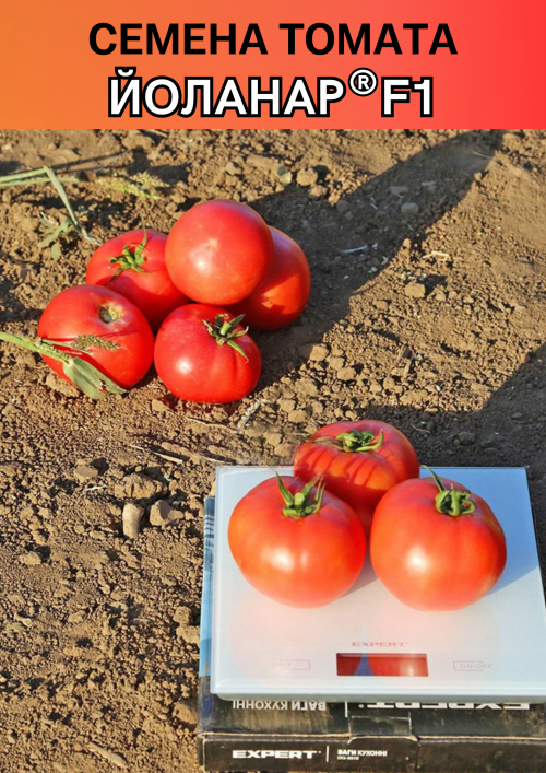 Йоланар (Йолнар) F1 семена томата