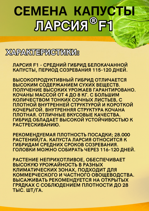 Ларсия F1 2500 штук семена капусты белокочанной
