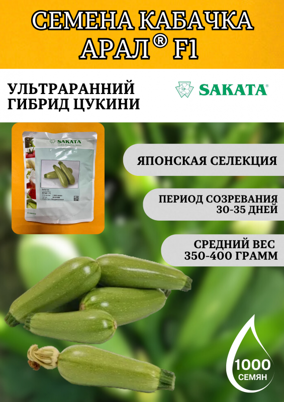 Арал F1 семена кабачка