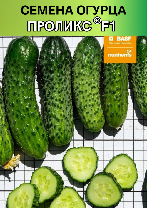 Проликс F1 1000 штук семена огурца