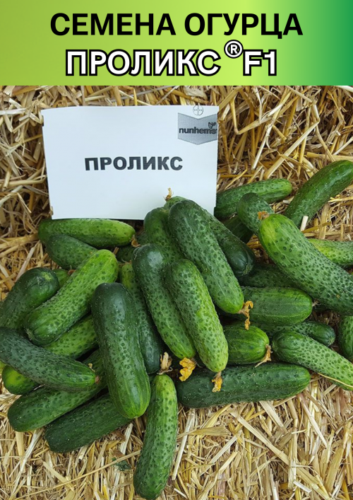 Проликс F1 1000 штук семена огурца