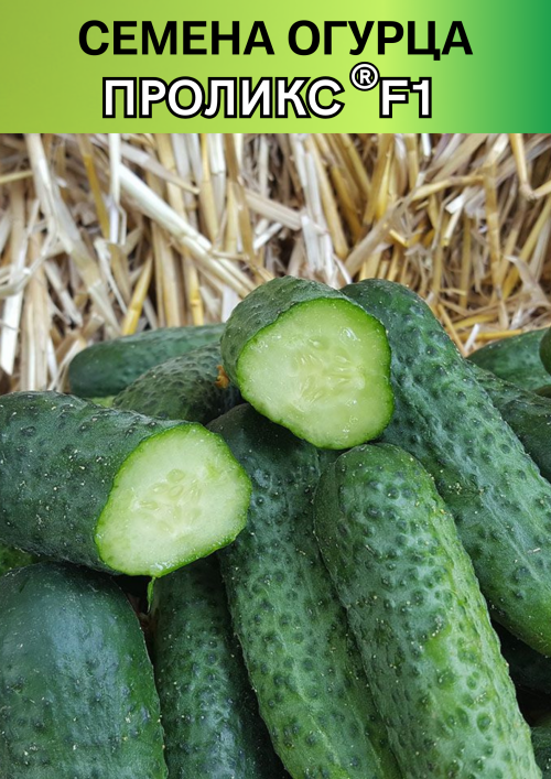 Проликс F1 1000 штук семена огурца