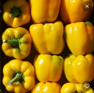 Соланор F1 семена сладкого перца