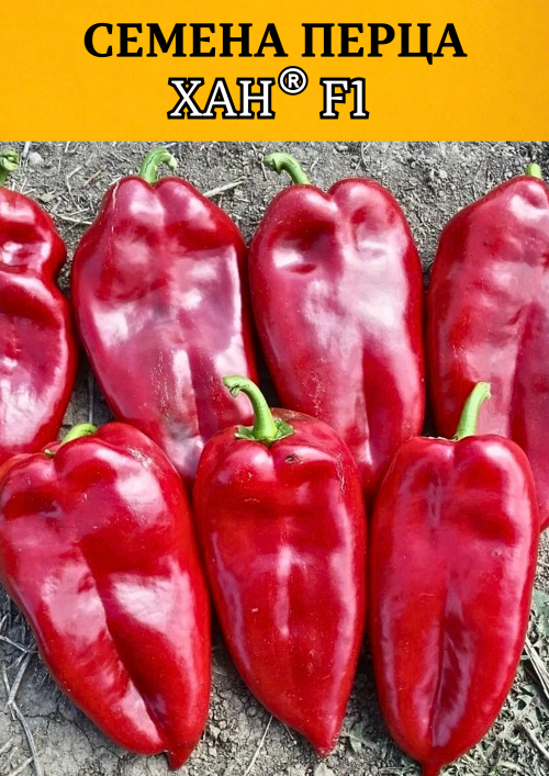 Хан F1 500 штук семена сладкого перца