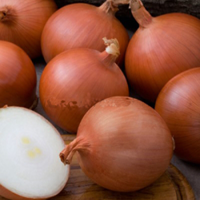 Утреро F1 1 000 000 штук семена лука