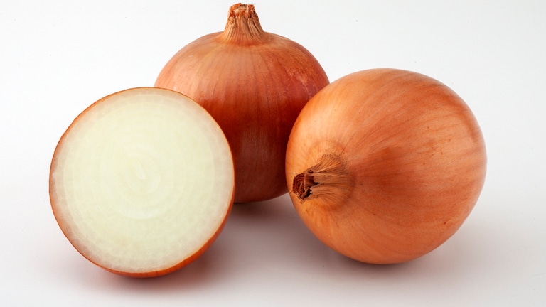 Камперо F1 семена лука