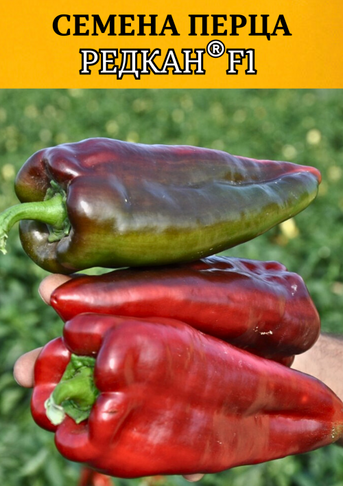 Редкан F1 семена сладкого перца