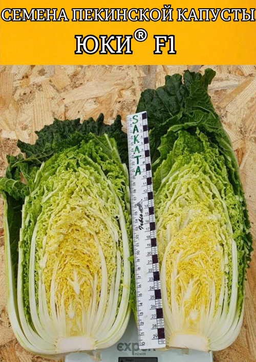Юки F1 семена пекинской капусты