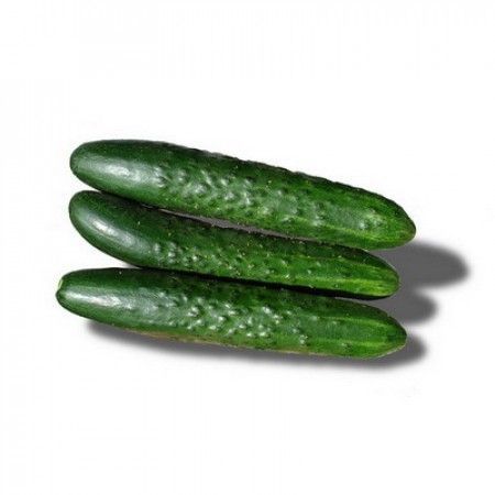 Геракл F1 500 штук семена огурца