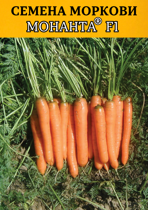 Монанта F1 семена моркови