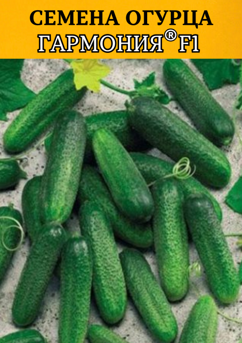 Гармония F1 семена огурца
