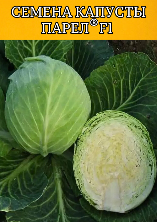 Парел F1 2500 штук семена капусты белокочанной