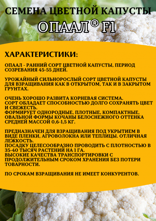 Опаал 1000 штук семена цветной капусты