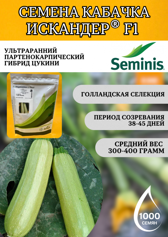 Искандер F1 семена кабачка
