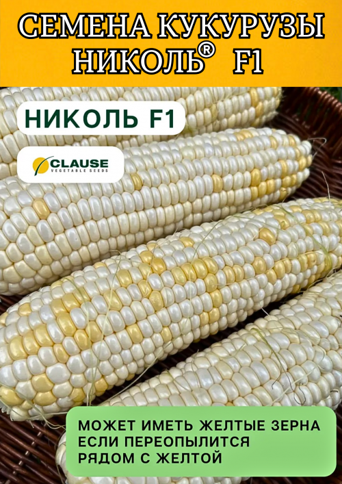 Николь F1 семена белой сахарной кукурузы