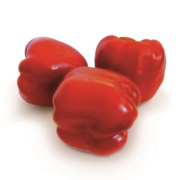 Катан F1 семена перца сладкого 1000 штук