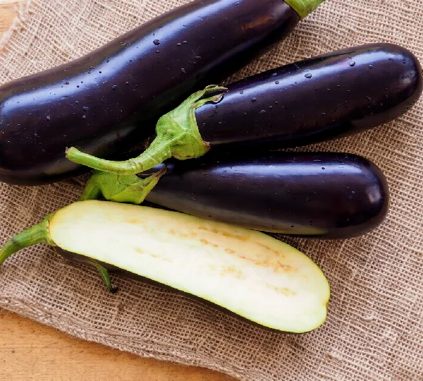 Бинал F1 семена баклажана 1000 штук