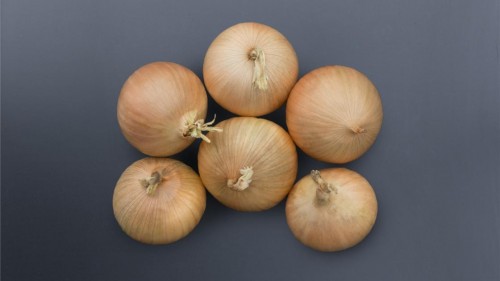 Бриджер F1 семена лука озимого 250 000 штук