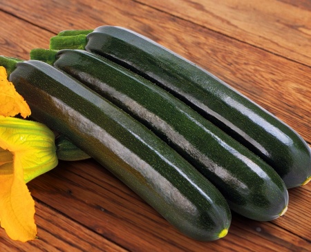 Сальвадор F1 кабачок 500 семян