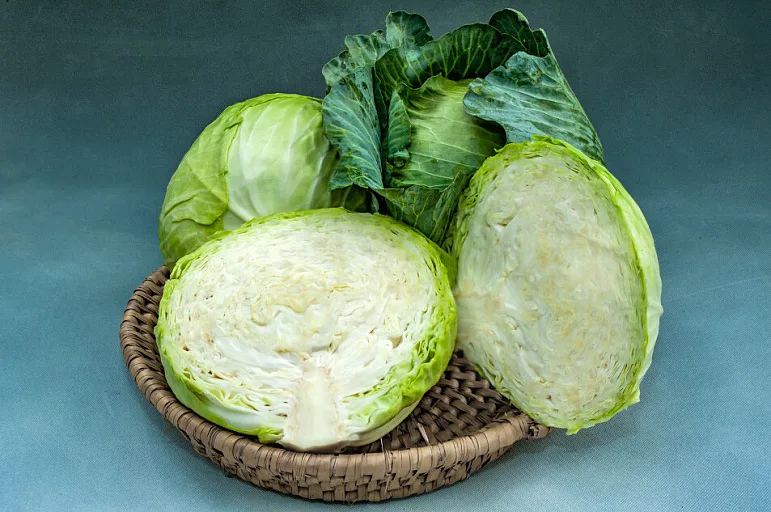 Аккорд F1 капуста белокочанная 2500 семян