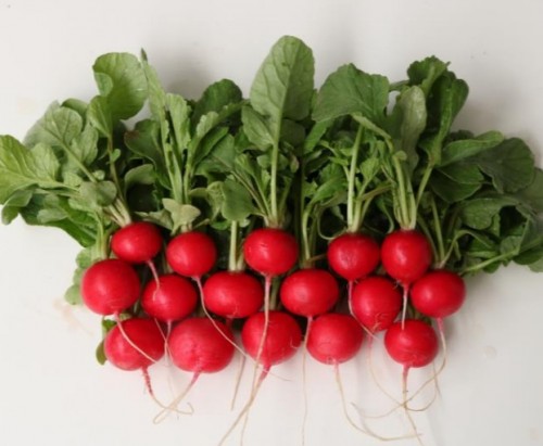 Атолл F1 редис 10 000 семян