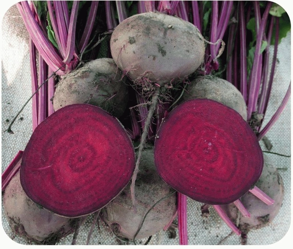 Игл F1 свекла 50 000 семян